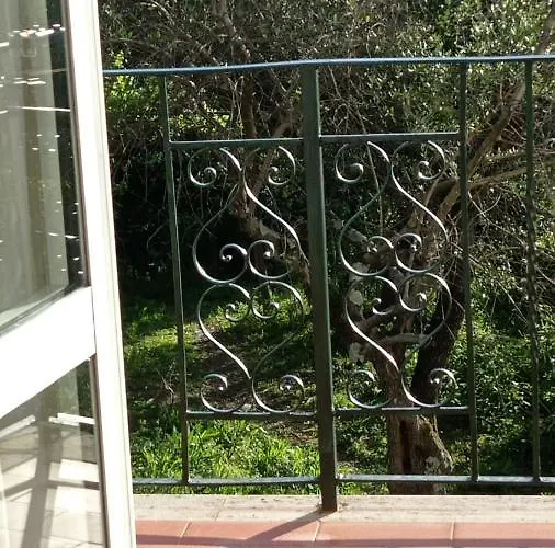 Ela Dream * Специя